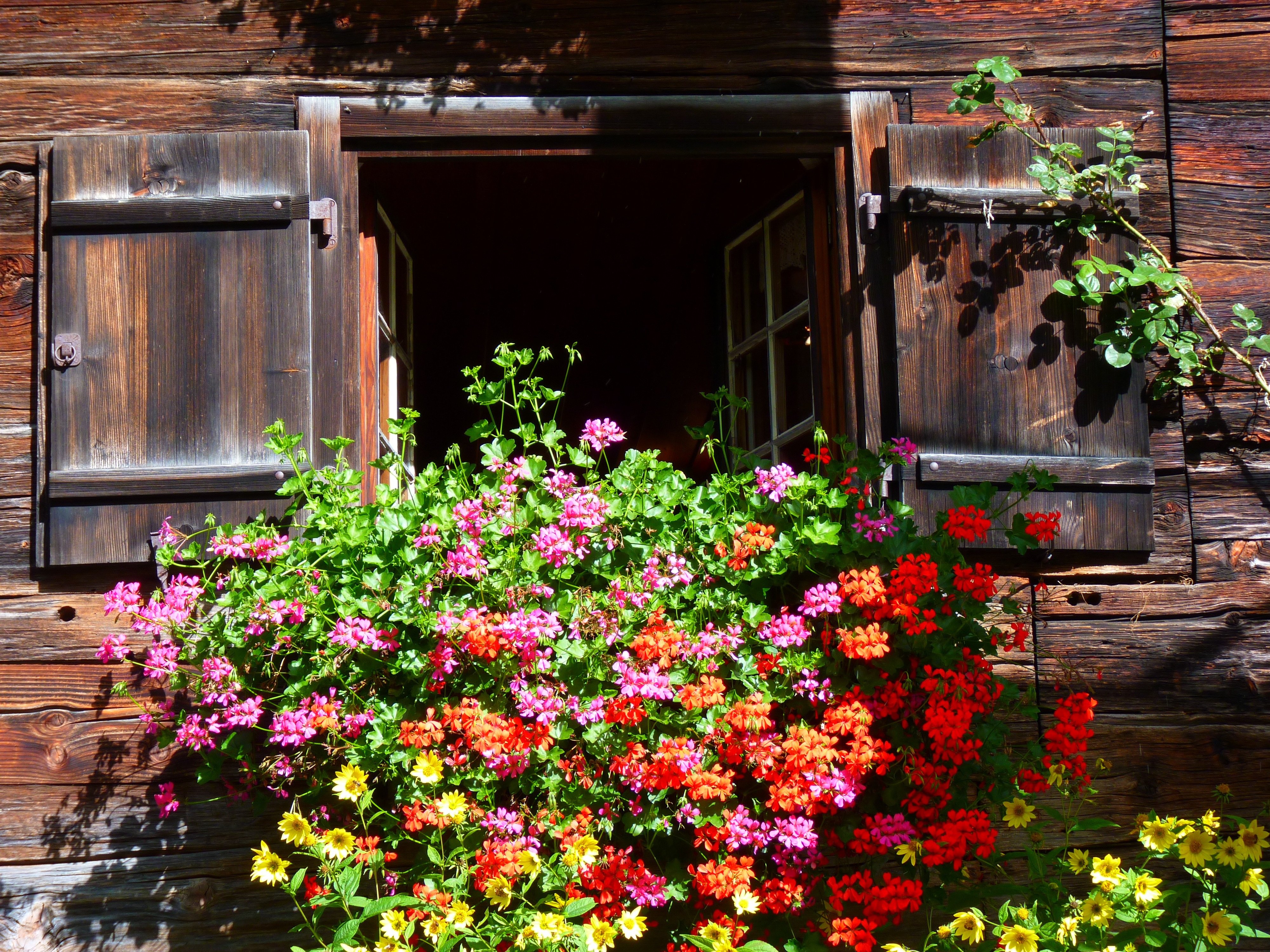 Příběh pro děti – vypráví Marie Duchoňová (19. 10. 2024)